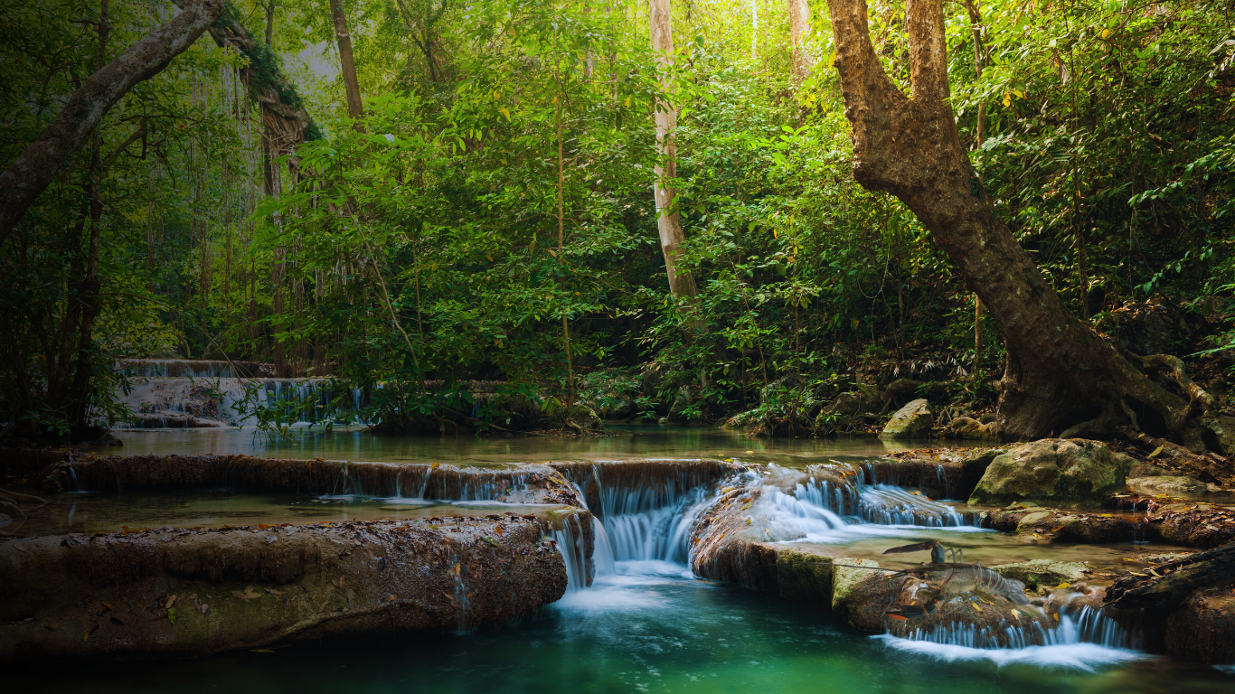 Header Freshwater Lobster (2)