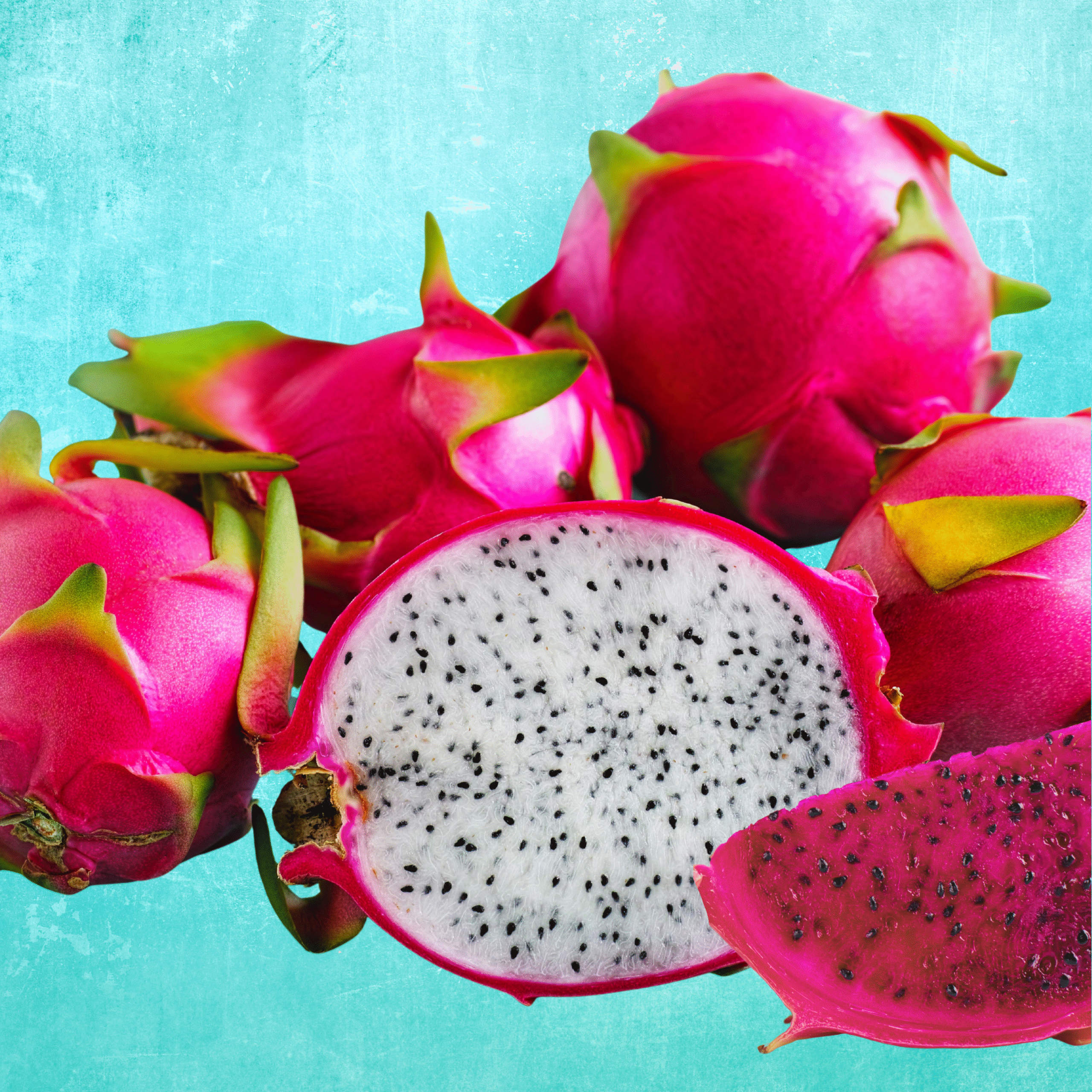 What We Provide Dragon Fruit What We Provide Dragon Fruit