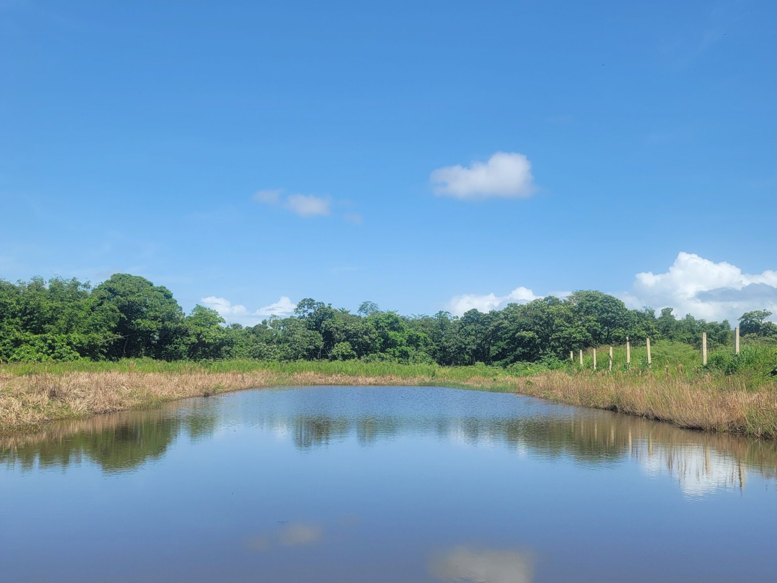Lobster Pond 3